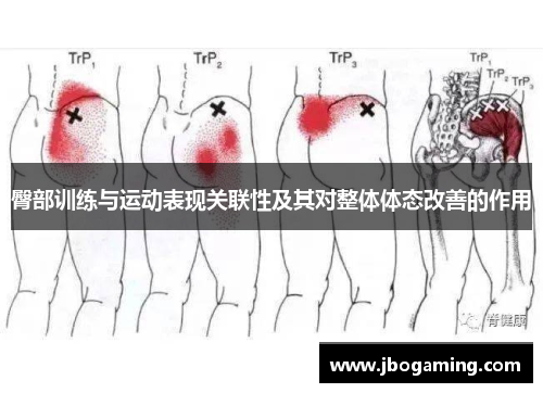 臀部训练与运动表现关联性及其对整体体态改善的作用